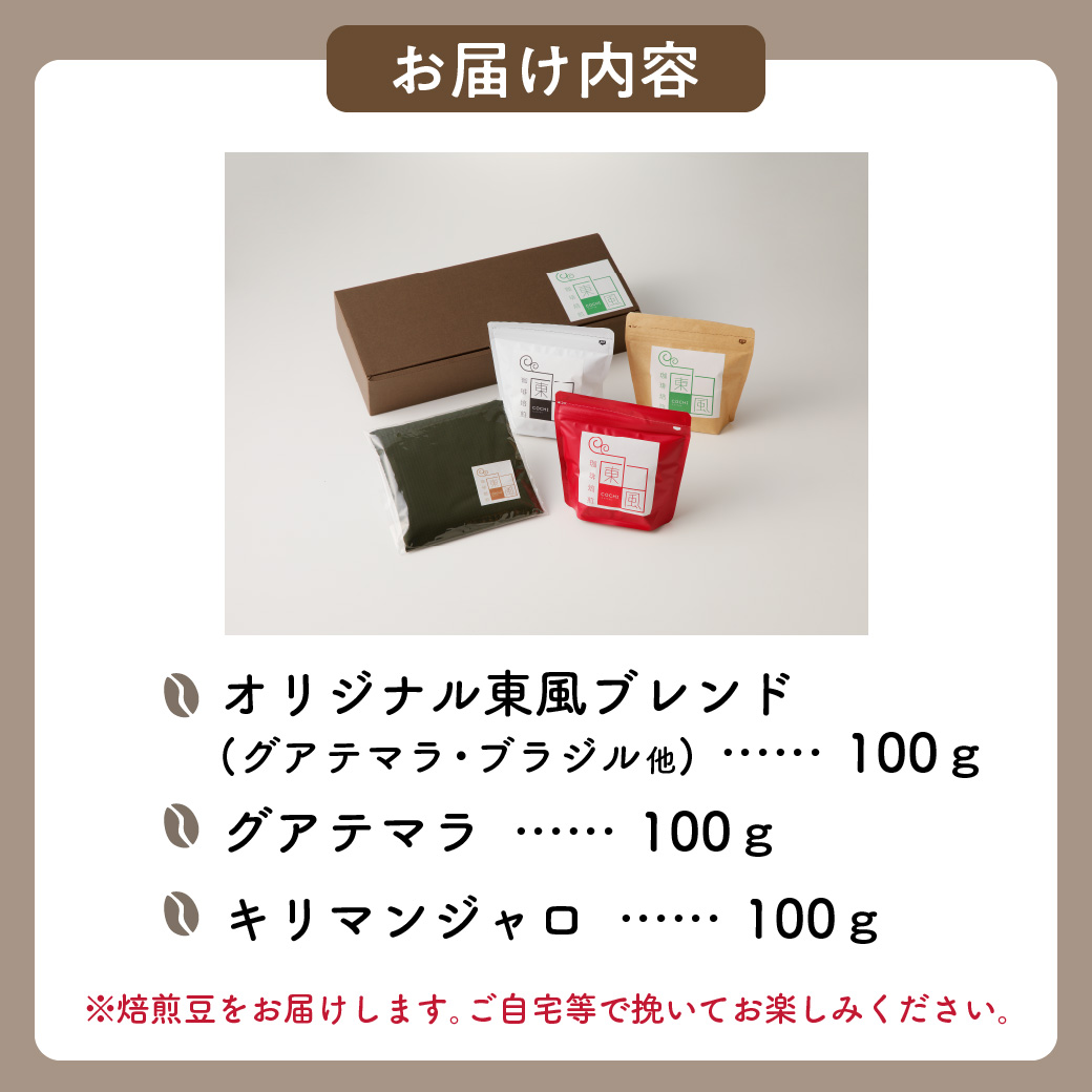 自家焙煎 コーヒー豆 焙煎珈琲 東風 オリジナルブレンド 100g×3袋 セット