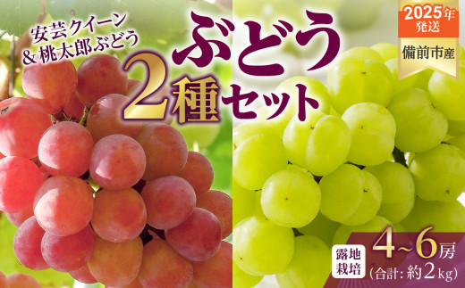 【2025年発送】びぜん葡萄「安芸クイーン」「桃太郎ぶどう」（露地栽培）約2kg入 【 岡山県備前市産 安芸クイーン 桃太郎ぶどう 露地栽培 約2kg 4房～6房 詰合せセット 】