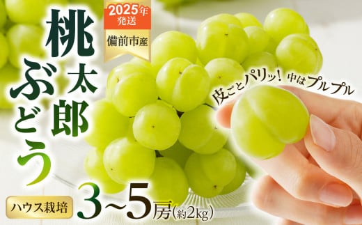 【2025年発送】びぜん葡萄「桃太郎ぶどう」（ハウス栽培）約2kg入 【 岡山県備前市産 桃太郎ぶどう ハウス栽培 約2kg （3～5房目安） 】