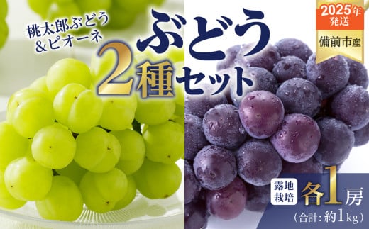 【2025年発送】びぜん葡萄「桃太郎ぶどう」「ピオーネ」（露地栽培）各1房 【 岡山県備前市産 桃太郎ぶどう ピオーネ 露地栽培 各1房 セット 樹上完熟 】