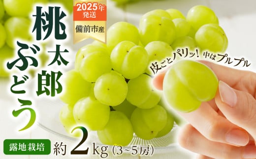 【2025年発送】びぜん葡萄「桃太郎ぶどう」（露地栽培）約2kg入 【 岡山県備前市産 桃太郎ぶどう 露地栽培 約2kg入 (3～5房目安) 樹上完熟 】