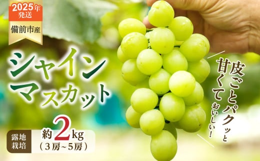 【2025年発送】岡山県備前市産　樹上完熟「シャインマスカット」（露地栽培）約2kg（3～5房目安） 【 岡山県備前市産 シャインマスカット 露地栽培 約2kg（3～5房目安）樹上完熟 】