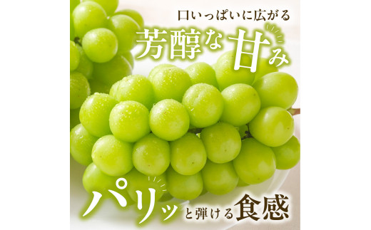 【2025年発送】岡山県備前市産　樹上完熟「シャインマスカット」（露地栽培）約2kg（3～5房目安） 【 岡山県備前市産 シャインマスカット 露地栽培 約2kg（3～5房目安）樹上完熟 】