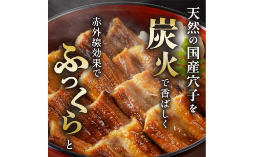 【訳あり】穴子 国産 焼穴子 炭火焼 7～16本入（500g前後） タレ付き【 穴子 炭火焼 香ばしい食感 訳あり ふっくらとジューシー 】