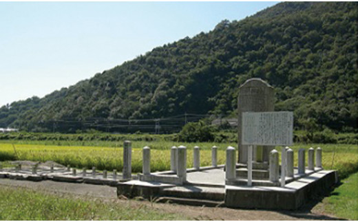 縲蝉サ、蜥7蟷エ逕」繝サ逧螳、迪ョ荳顔アウ縲台コ慕伐驟オ邏邀ウ 縺ォ縺薙∪繧 5kgシ医°縺肴ョサ繝サ荳逕ー驟オ邏菴ソ逕ィシ峨先律譎よ欠螳壼庄閭ス 縺顔アウ 驟埼 縺ォ縺薙∪繧 5kg 繧ゅ■邀ウ繝悶Ξ繝ウ繝臥イセ邀ウ 邀ウ 蟯。螻ア逵悟y蜑榊クら肇 譁ー蝌礼・ュ 逧螳、迪ョ荳顔アウ 逕溽肇 霎イ螳カ逕」縲