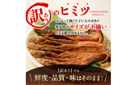 【訳あり】穴子 国産 焼穴子 炭火焼 7～16本入（500g前後） タレ付き【 穴子 炭火焼 香ばしい食感 訳あり ふっくらとジューシー 】