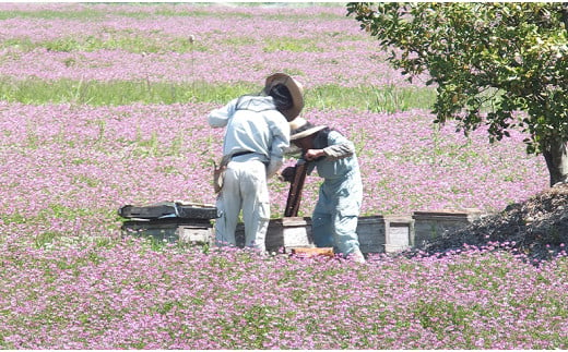 はちみつ 国産 備前産 令和5年採取 純粋蜂蜜セット⑬ 【ギフトケース入】