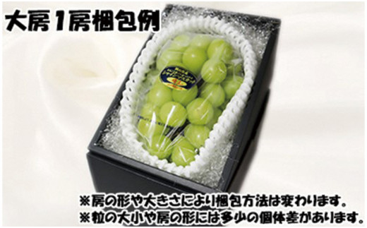 ã什åïŒå¹Žçºéåã岡山çç£ ã·ã£ã€ã³ãã¹ã«ããæŽçãç§åã 倧æ¿ïŒæ¿ïŒä»€å8幎9æãã10æé çºéïŒã 岡山çç£ ã·ã£ã€ã³ãã¹ã«ãã ç§å æŽç å€§æ¿ æŽãã®åœããã㟠ã