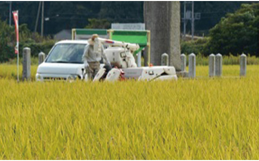 縲蝉サ、蜥7蟷エ逕」繝サ逧螳、迪ョ荳顔アウ縲台コ慕伐驟オ邏邀ウ 縺ォ縺薙∪繧 5kgシ医°縺肴ョサ繝サ荳逕ー驟オ邏菴ソ逕ィシ峨先律譎よ欠螳壼庄閭ス 縺顔アウ 驟埼 縺ォ縺薙∪繧 5kg 繧ゅ■邀ウ繝悶Ξ繝ウ繝臥イセ邀ウ 邀ウ 蟯。螻ア逵悟y蜑榊クら肇 譁ー蝌礼・ュ 逧螳、迪ョ荳顔アウ 逕溽肇 霎イ螳カ逕」縲