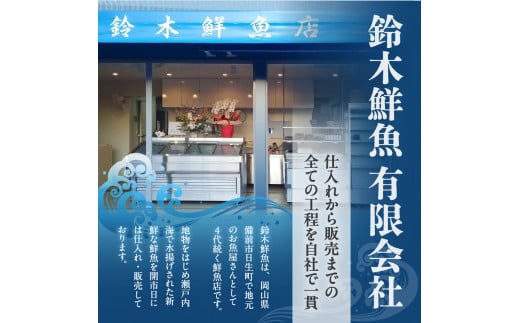 【訳あり】穴子 国産 焼穴子 炭火焼 7～16本入（500g前後） タレ付き【 穴子 炭火焼 香ばしい食感 訳あり ふっくらとジューシー 】