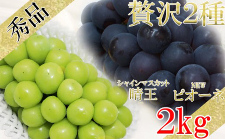 【8月13日限定】岡山産シャインマスカット2kgと種なしニューピオーネ2kg