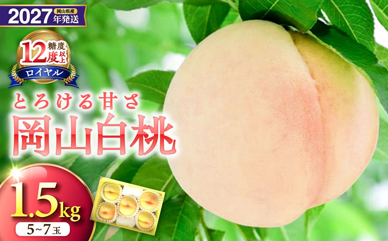 ã2027幎çºéåã»å
è¡äºçŽéå§ïŒã岡山çç£ çœæ¡ æé«ã©ã³ã¯ïŒããã€ã€ã«ãçŽ1.5kg 5ïœ7çïŒä»€å9幎7æä»¥éçºéïŒãå
è¡åä» å
è¡äºçŽ çœæ¡ ãã€ã€ã« ãã«ãŒã æç© ãã æ¡ ã¢ã¢ 岡山çç£ã