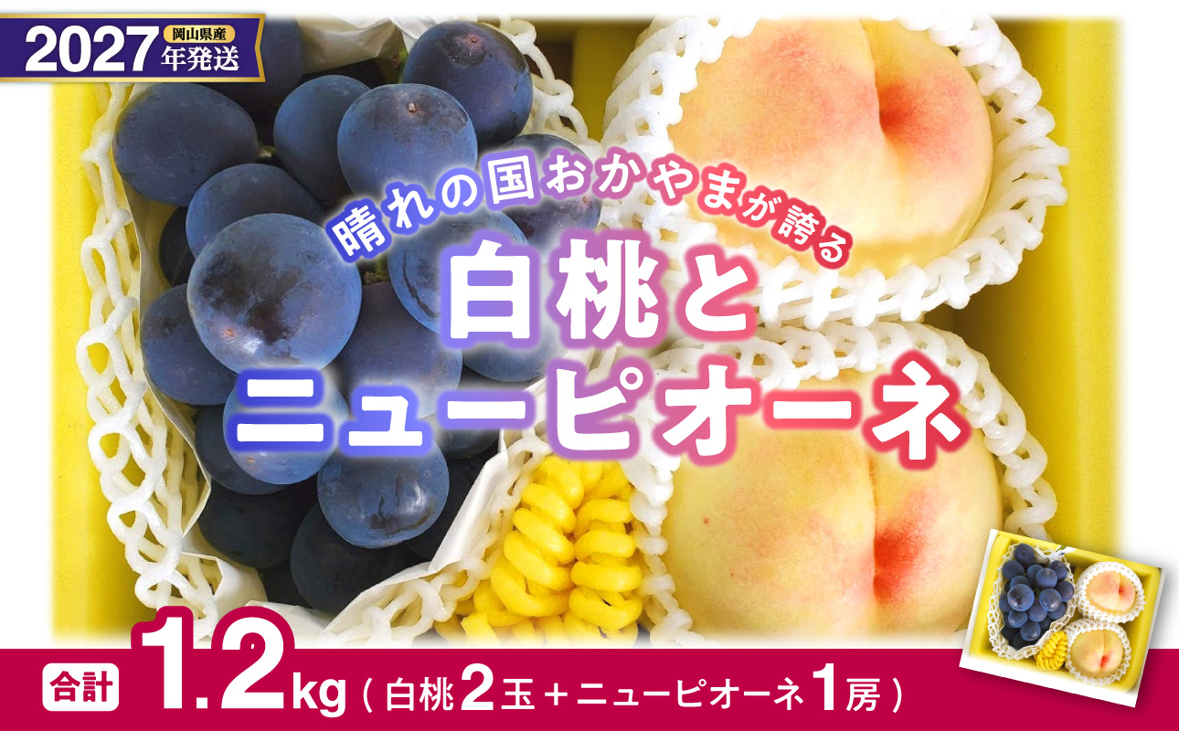 ã2027幎çºéåã»å
è¡äºçŽéå§ïŒã岡山çç£ çœæ¡ãšãã¥ãŒããªãŒãã®ã»ããïŒä»€å9幎7æä»¥éçºéïŒãå
è¡åä» å
è¡äºçŽ çœæ¡ ãã¥ãŒããªãŒã ã»ãã è©°åã ãã«ãŒã æç© ãã æ¡ ã¢ã¢ è¡è ã¶ã©ã ãã㊠岡山çç£ã