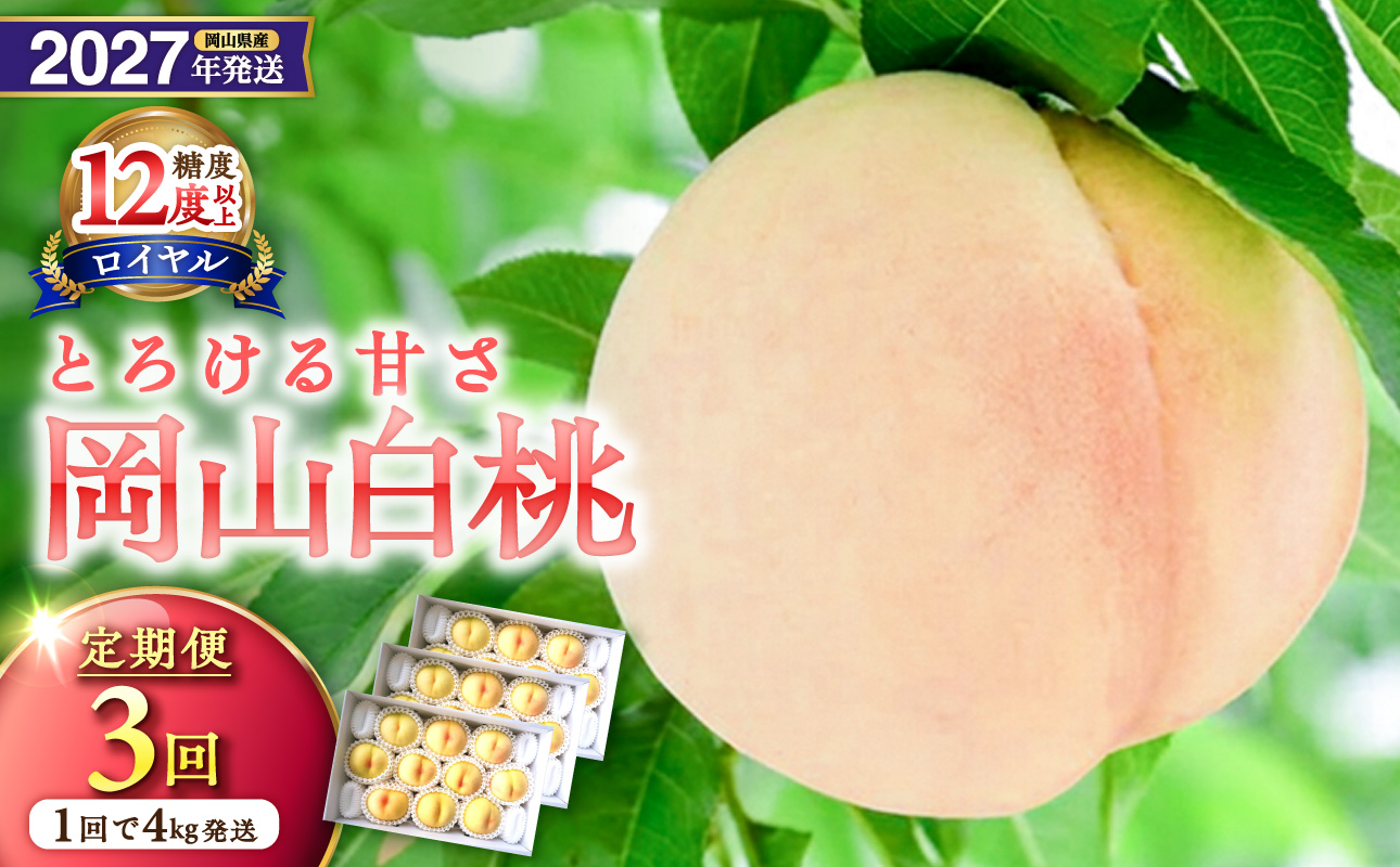 【2027年発送分・先行予約開始！】【定期便】岡山県産 白桃 最高ランク！「ロイヤル」約4kg×3回発送【先行受付 先行予約 白桃ロイヤル フルーツ 果物 もも 桃 モモ 岡山県産 ロイヤル】