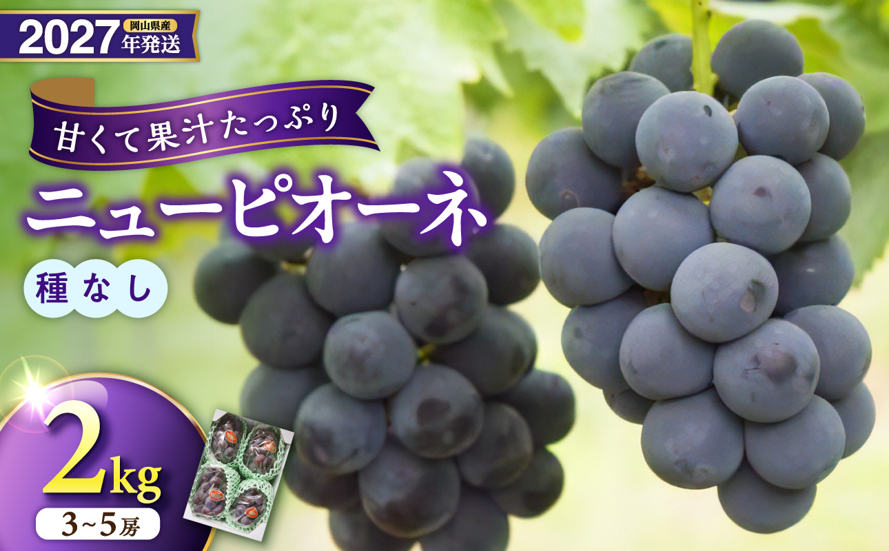 【2027年発送分・先行予約開始！】岡山県産ニューピオーネ 　秀品　約2kg（3～5房程度）（令和9年8月中旬以降発送）【先行受付 先行予約 ニューピオーネ フルーツ 果物 くだもの 葡萄 ぶどう 岡山県産 秀品 】