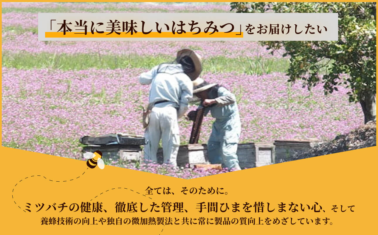 備前産 令和8年採取 純粋蜂蜜セット19（れんげ蜂蜜・あかしあ蜂蜜・百花蜂蜜）50g×各1本【ギフトパック入 のし可 はちみつ 蜜 ハチミツ 備前市】