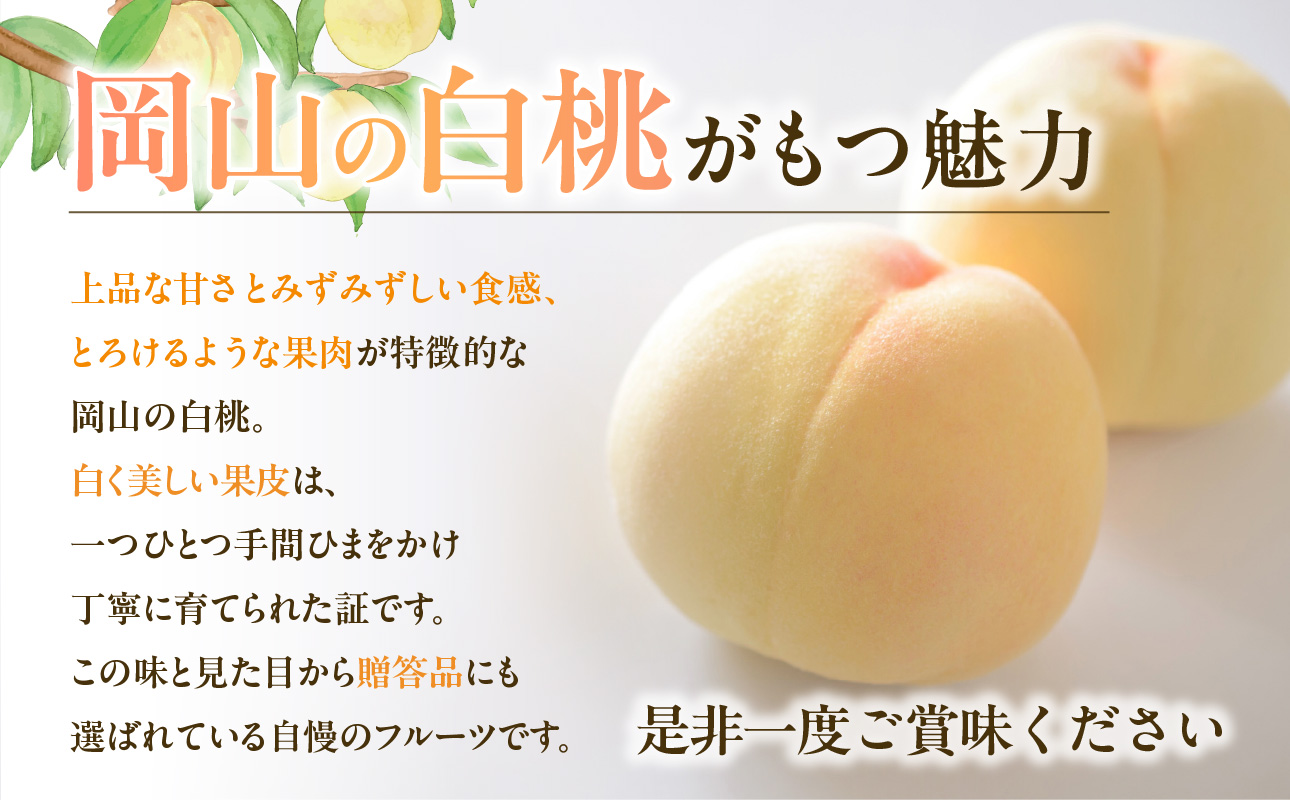 ã2027幎çºéåã»å
è¡äºçŽéå§ïŒã岡山çç£ çœæ¡ çŽ4kg 8ïœ15çïŒä»€å9幎7æä»¥éçºéïŒãå
è¡åä» å
è¡äºçŽ çœæ¡ ãã«ãŒã æç© ãã æ¡ ã¢ã¢ 岡山çç£ã