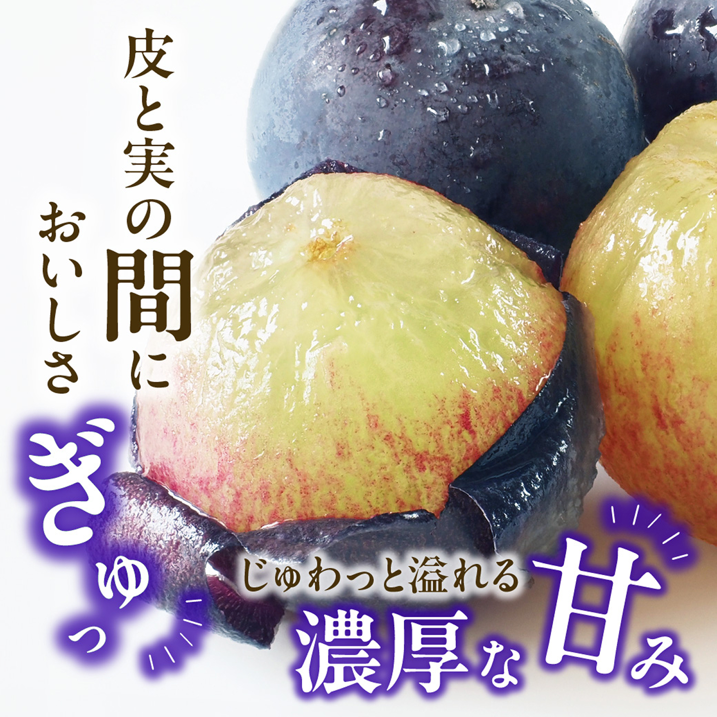 ã2027幎çºéåã»å
è¡äºçŽéå§ïŒã岡山çç£ çœæ¡ãšãã¥ãŒããªãŒãã®ã»ããïŒä»€å9幎7æä»¥éçºéïŒãå
è¡åä» å
è¡äºçŽ çœæ¡ ãã¥ãŒããªãŒã ã»ãã è©°åã ãã«ãŒã æç© ãã æ¡ ã¢ã¢ è¡è ã¶ã©ã ãã㊠岡山çç£ã