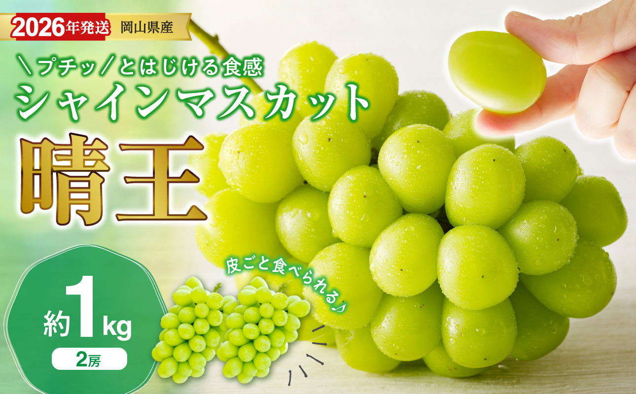 【2026年発送分】岡山県産シャインマスカット「晴王」 秀品　約1kg（2房）（令和8年8月中旬～10月頃発送）【 シャインマスカット 晴王 フルーツ 果物 くだもの 葡萄 ぶどう 御中元 ギフト プレゼント 御祝 岡山県産 秀品 種無し 高糖度 】hz-s