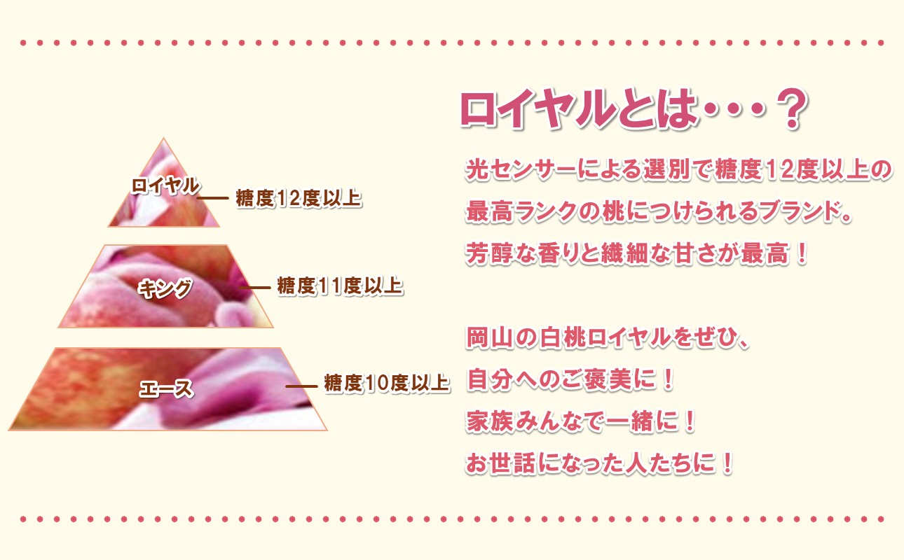 ã2027幎çºéåã»å
è¡äºçŽéå§ïŒã岡山çç£ çœæ¡ æé«ã©ã³ã¯ïŒããã€ã€ã«ãçŽ1.5kg 5ïœ7çïŒä»€å9幎7æä»¥éçºéïŒãå
è¡åä» å
è¡äºçŽ çœæ¡ ãã€ã€ã« ãã«ãŒã æç© ãã æ¡ ã¢ã¢ 岡山çç£ã