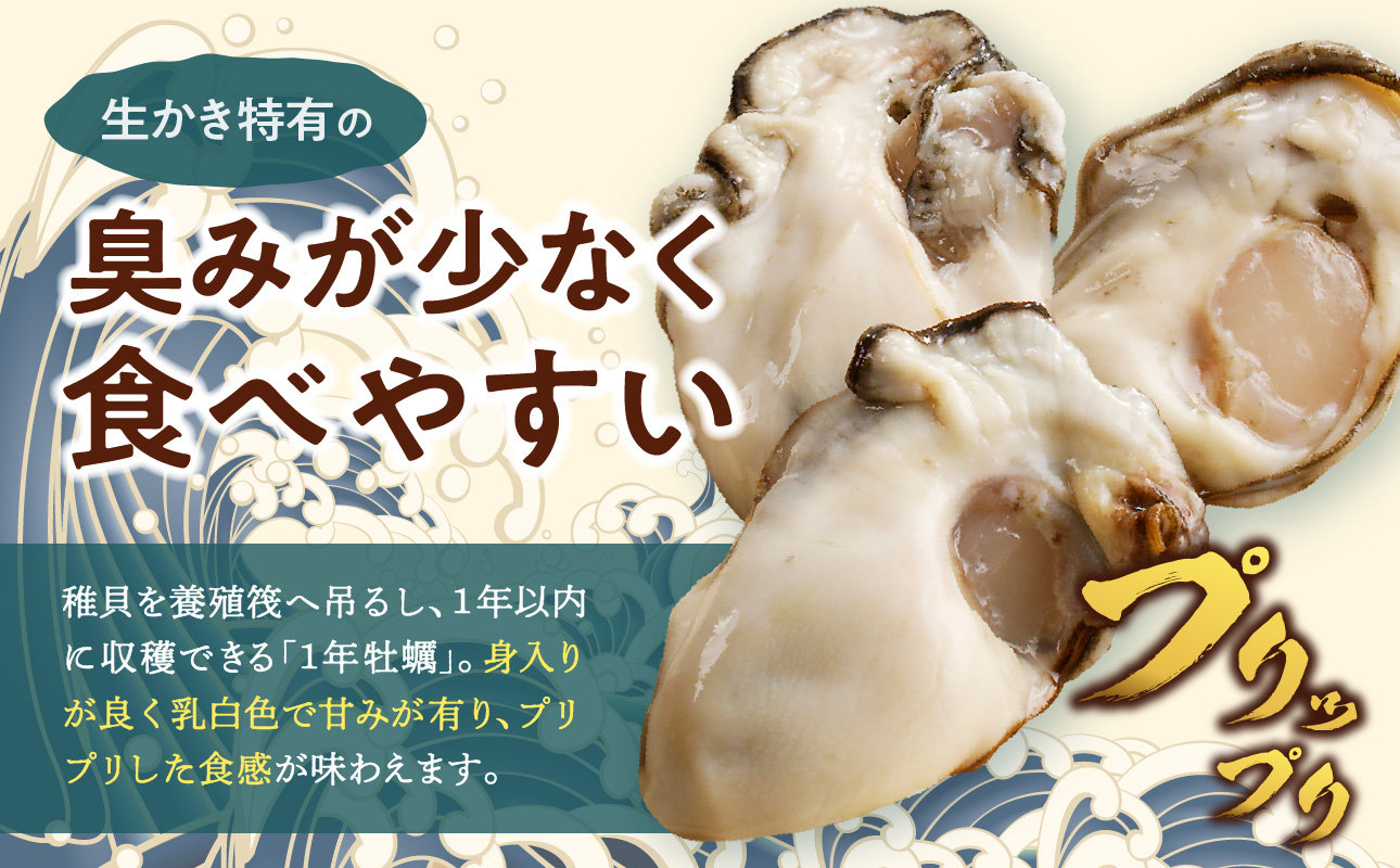 【2026年2月下旬～3月下旬発送】岡山県日生産 生鮮かき（むき身）加熱用 600g（300ｇ×2パック）【 全国牡蠣-1グランプリ豊洲2024 加熱部門初代グランプリ受賞！ 生鮮 牡蠣 600g 生鮮牡蠣 むき身 プリプリした食感 一年牡蠣】