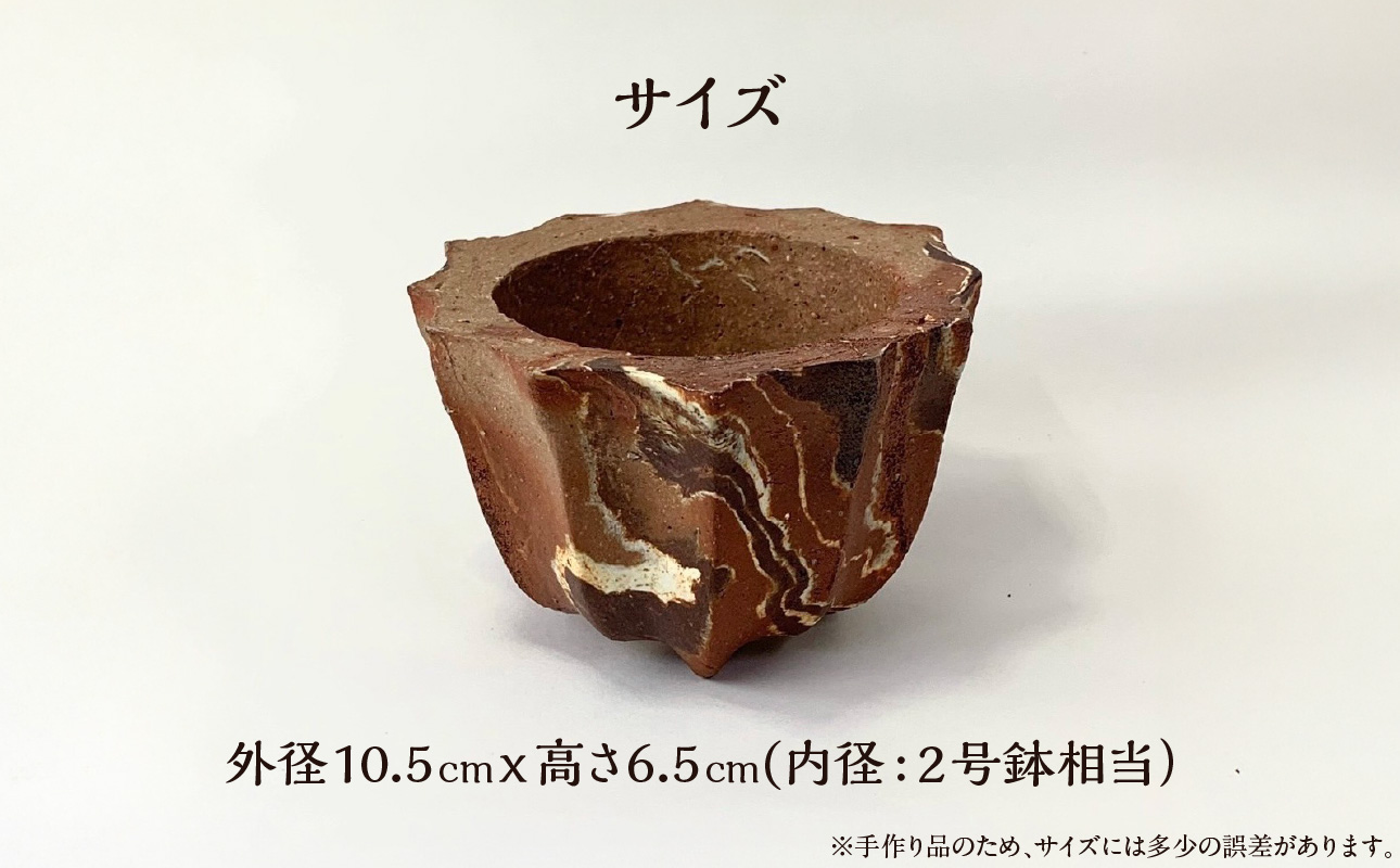 蛯吝燕辟シ縲讀肴惠驩「縲繝。繧、繝峨ヰ繧、繧ア繝ウ縲信K025縲