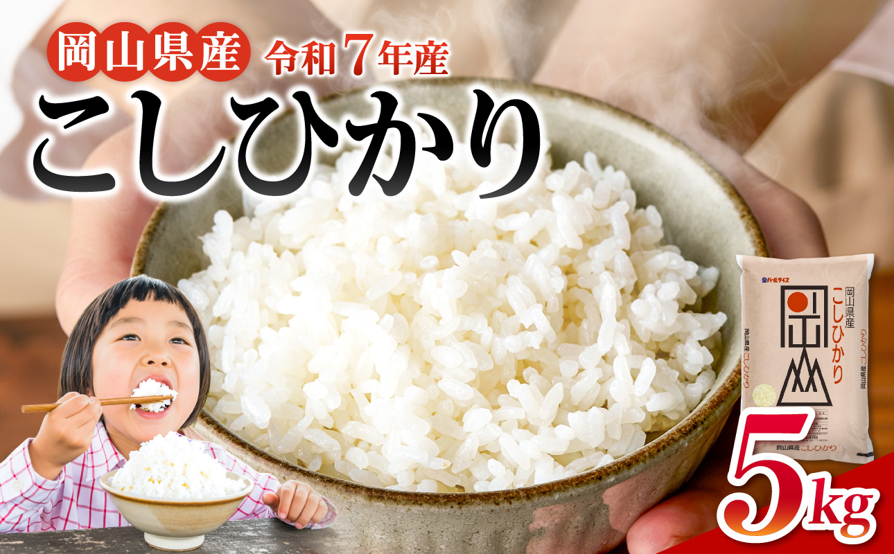 【令和7年産米】岡山県産 精米 こしひかり　5kg【米  配送 令和7年産 米 精米 ごはん 白米 国産米】
