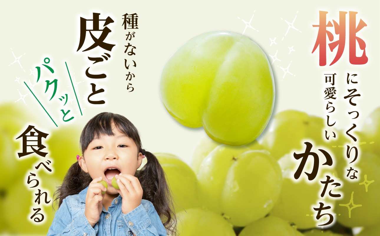 【2026年発送分　先行受付開始！】びぜん葡萄「桃太郎ぶどう」（露地栽培）約2kg入（令和8年9月上旬～10月中旬頃発送）【 岡山県備前市産 桃太郎ぶどう 露地栽培 約2kg入 (3～5房目安) 樹上完熟 】