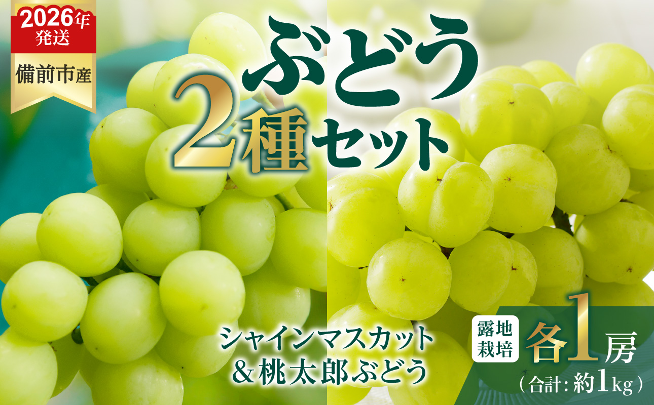 【2026年発送分　先行受付開始！】びぜん葡萄「シャインマスカット」「桃太郎ぶどう」（露地栽培）各1房入（令和8年8月下旬～10月中旬頃発送）【 岡山県備前市産 シャインマスカット 桃太郎ぶどう 露地栽培 各1房 セット 樹上完熟 】