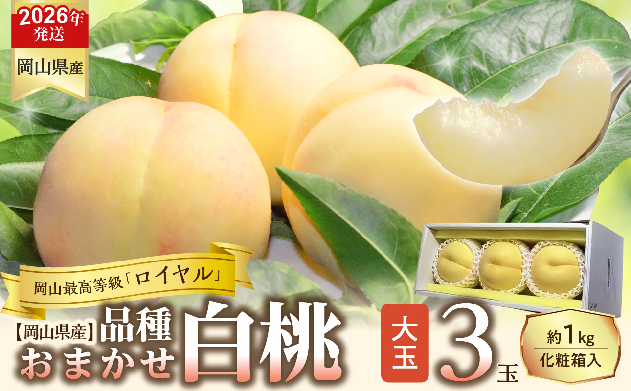 【令和８年発送分】岡山県産 白桃「ロイヤル」大玉3玉（令和8年7月から8月頃発送）【 岡山県産 白桃 大玉 ロイヤル 晴れの国おかやま 】