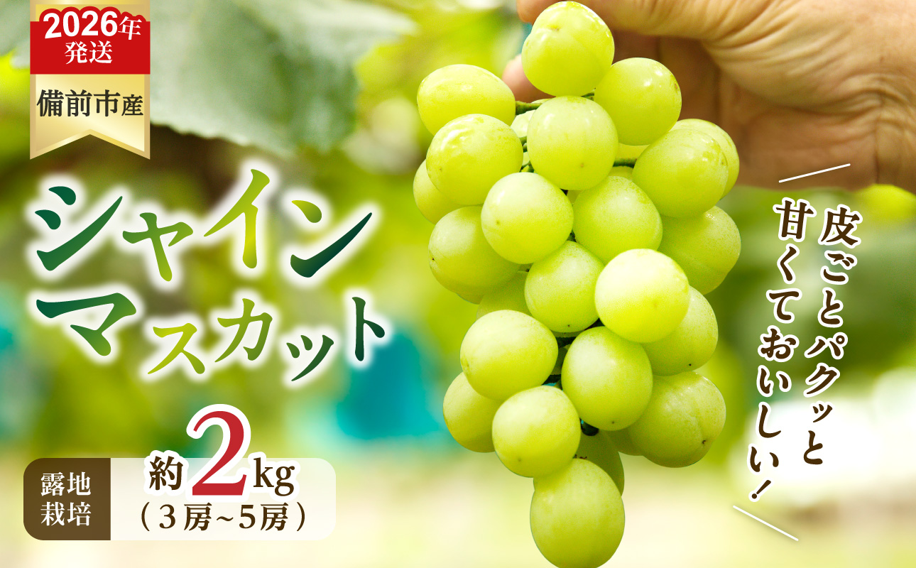 【2026年発送分　先行受付開始！】びぜん葡萄「シャインマスカット」（露地栽培）約2kg入（令和8年9月上旬～10月中旬頃発送）【 岡山県備前市産 シャインマスカット 露地栽培 約2kg（3～5房目安）樹上完熟 】