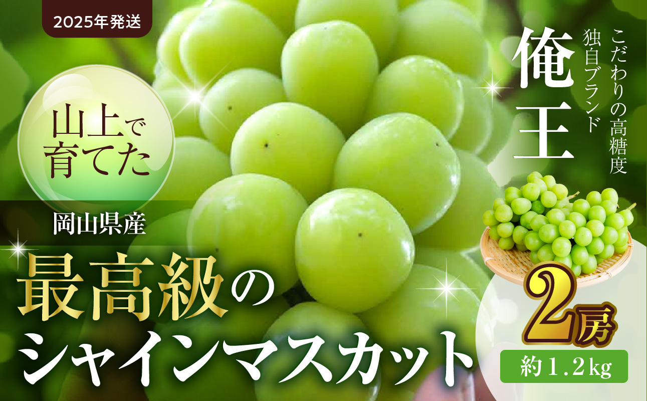 【2025年発送】山上で育てた最高級シャインマスカット「俺王」2房入り（令和７年１０月初旬～１０月下旬発送予定）【 フルーツ 俺王 シャインマスカット 岡山県産 晴れの国おかやま 】