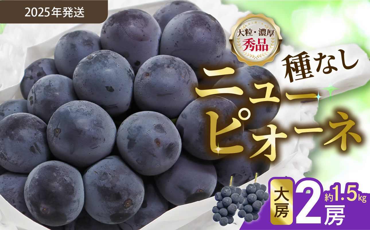 【令和７年発送分】岡山県産 ニューピオーネ 大房2房（令和7年8月から10月発送）【 岡山県産 ニューピオーネ 大房 晴れの国おかやま 】