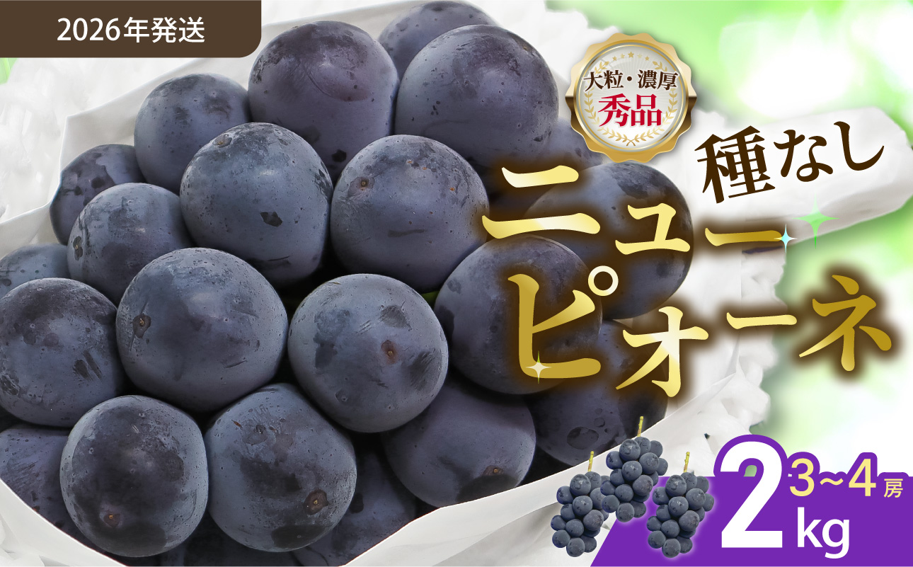 【令和８年発送分】岡山県産 ニューピオーネ 2kg（令和8年8月から9月頃発送）【 岡山県産 ニューピオーネ 大房 晴れの国おかやま ぶどう 葡萄】