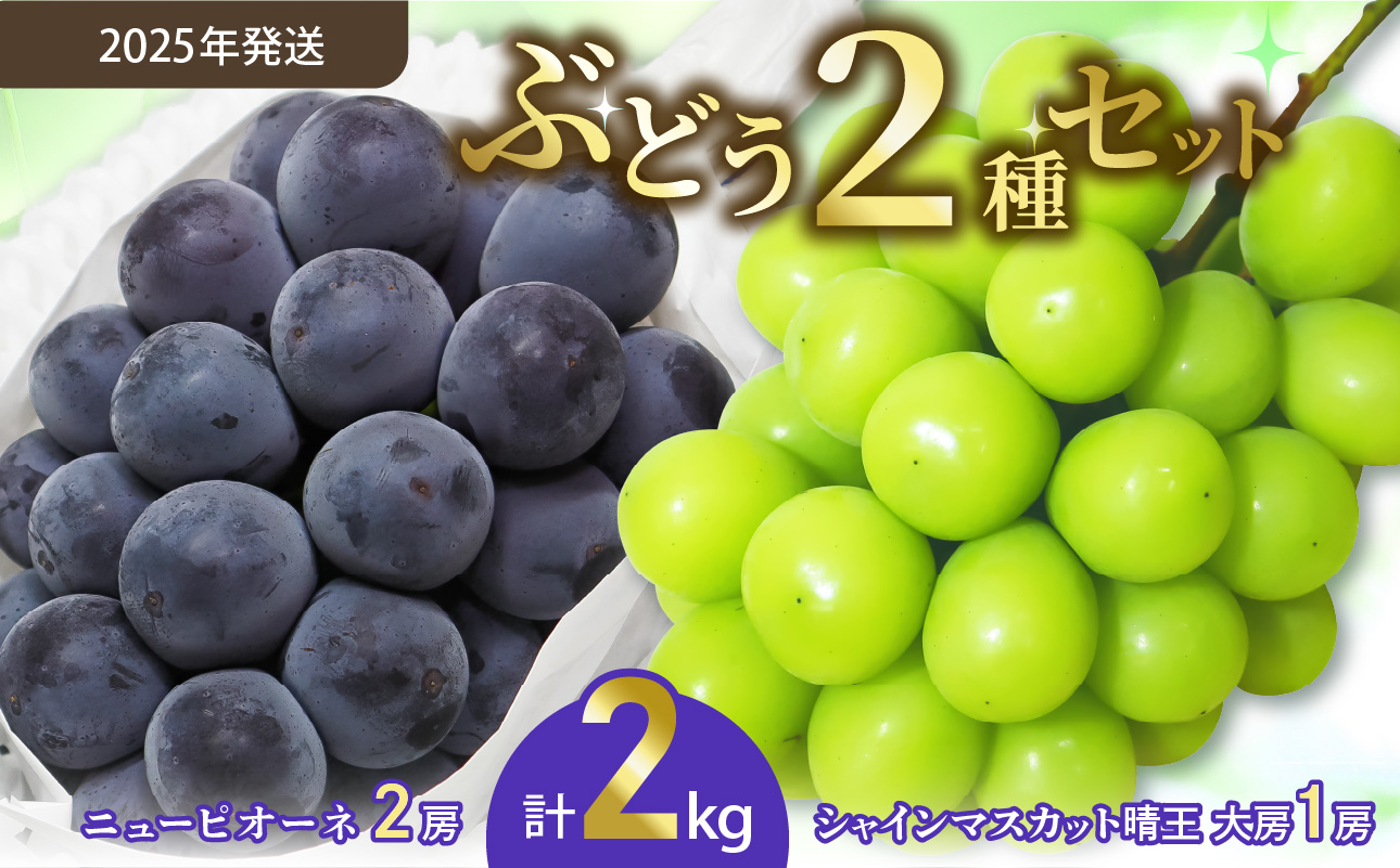 【令和７年発送分】岡山県産 シャインマスカット晴王×ニューピオーネ 2種2kg（令和7年8月から10月発送）【 岡山県産 シャインマスカット ニューピオーネ 高品質ぶどう 晴王 晴れの国おかやま 】