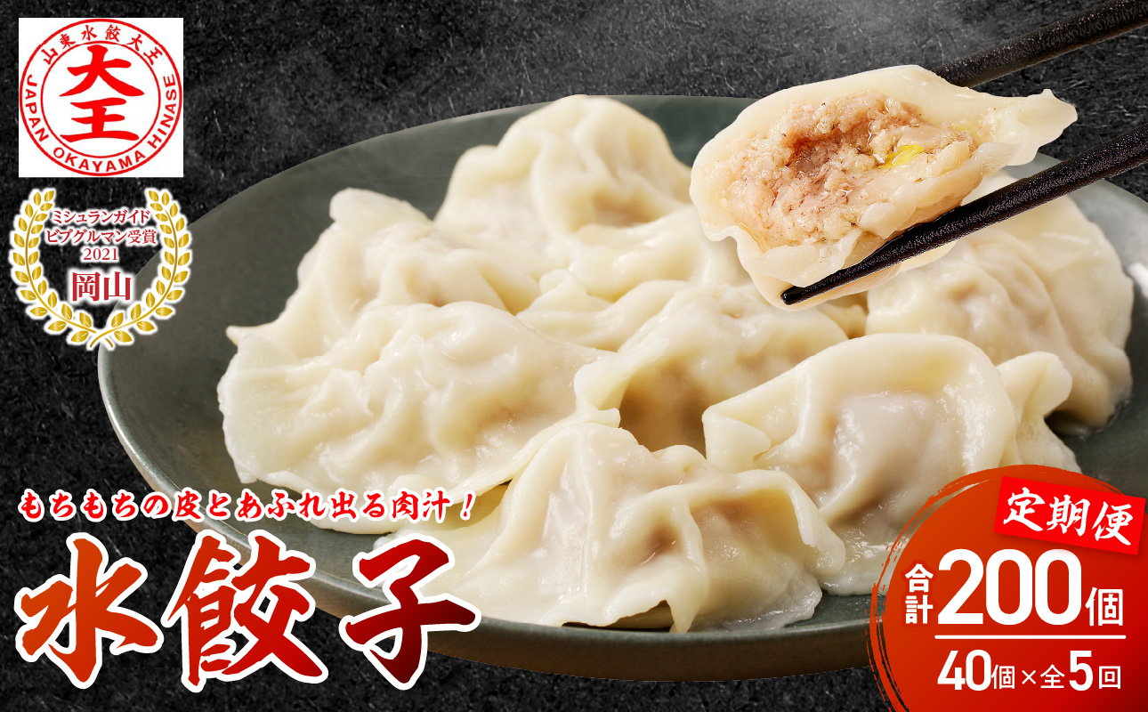 餃子 水餃子 定期便 5回発送 40個 ミシュラン 山東水餃大王 定期便（5回発送A）40個