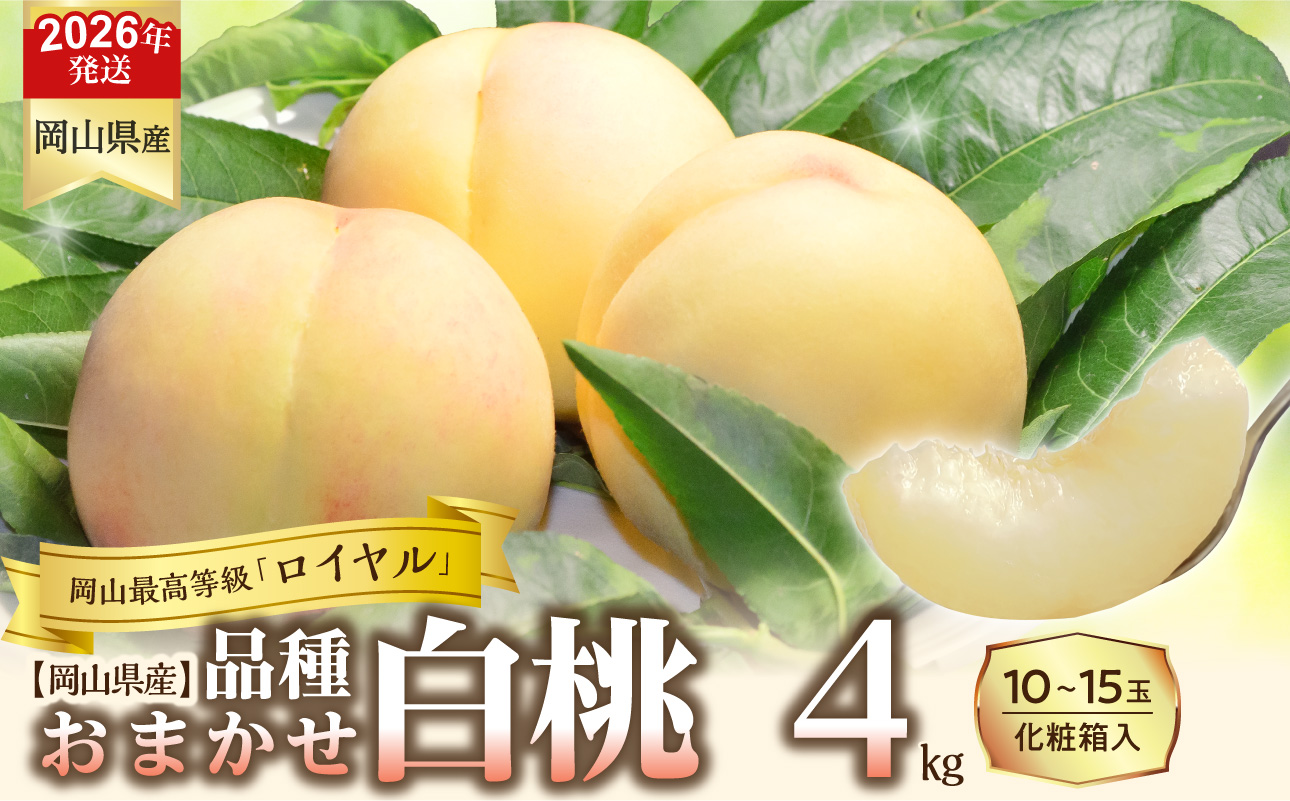 【令和８年発送分】岡山県産 白桃「ロイヤル」4kg（令和8年7月から8月頃発送）【 岡山県産 白桃 ロイヤル 晴れの国おかやま 】