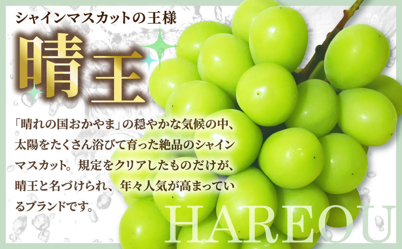 【令和７年発送分】岡山県産 シャインマスカット晴王×ニューピオーネ 2種2kg（令和7年8月から10月発送）【 岡山県産 シャインマスカット ニューピオーネ 高品質ぶどう 晴王 晴れの国おかやま 】