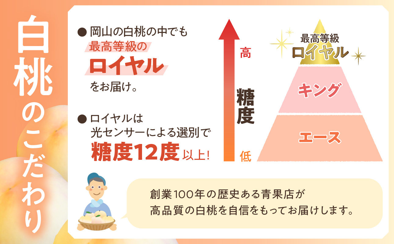 【令和７年発送分】岡山県産 シャインマスカット晴王×白桃 約1.5kgセット（令和7年7月から8月発送）【 岡山県産 シャインマスカット 秀品 晴王 白桃 ロイヤル 晴れの国おかやま 】