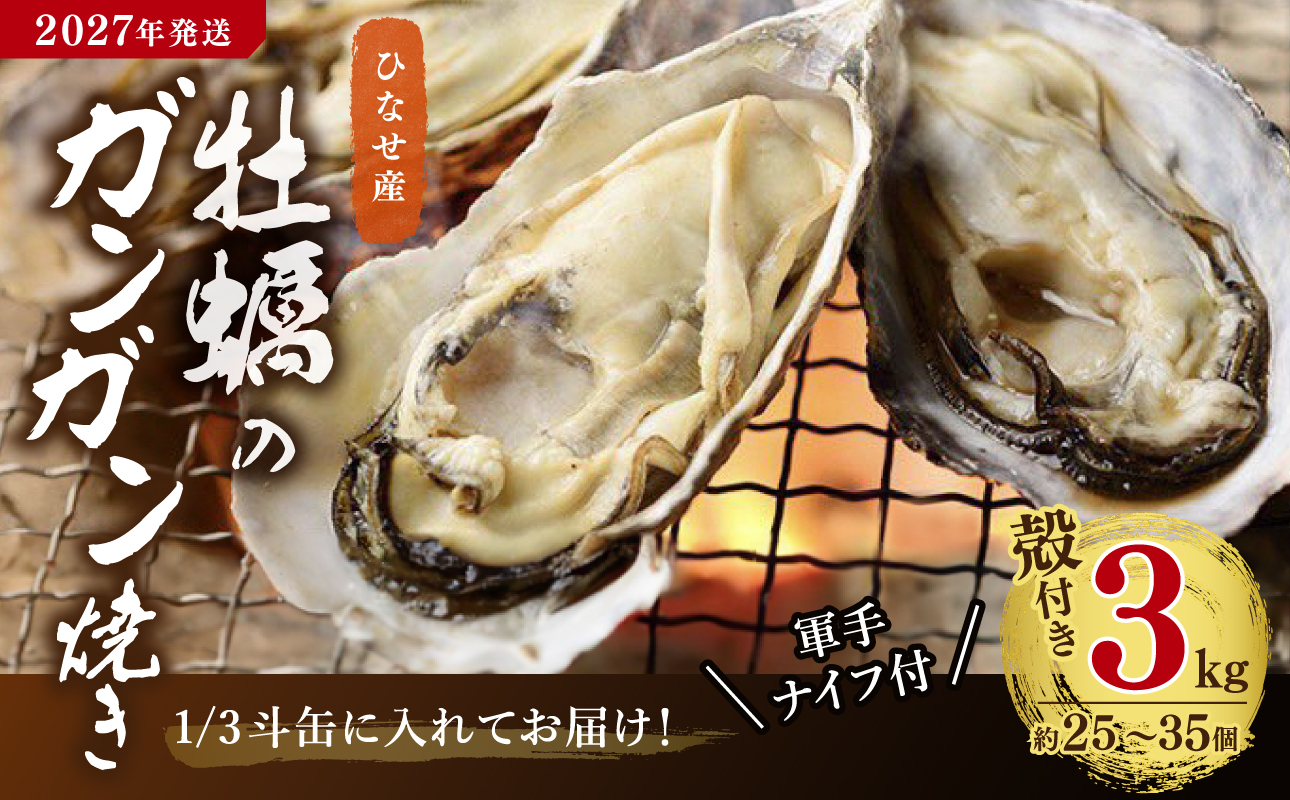 【2027年発送】ひなせ産　牡蠣　ガンガン焼きセット 3kg