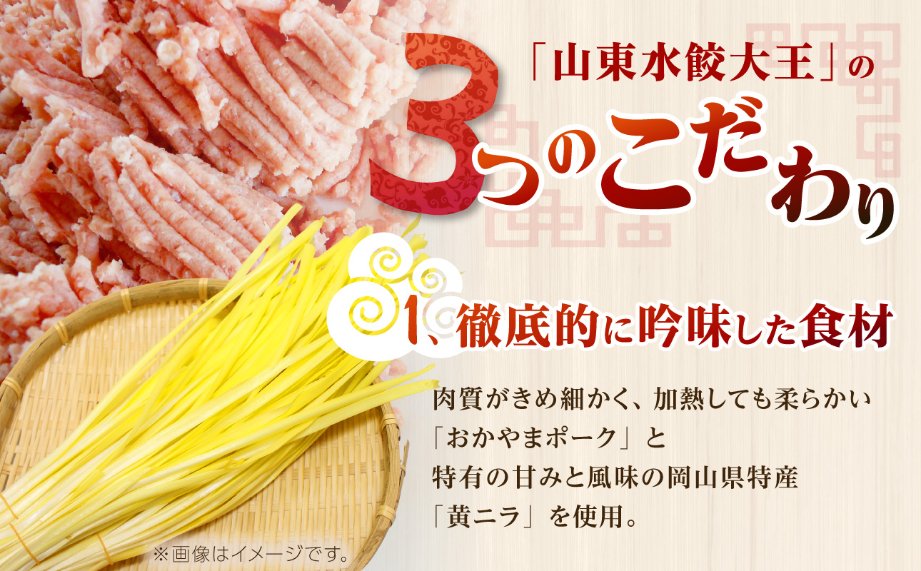 餃子 水餃子 定期便 5回発送（うち香味2回） ミシュラン 山東水餃大王 定期便（5回発送B）香味入り