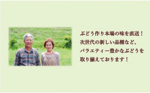【2024年発送】岡山県備前市産　樹上完熟「桃太郎ぶどう」（ハウス栽培）約2kg