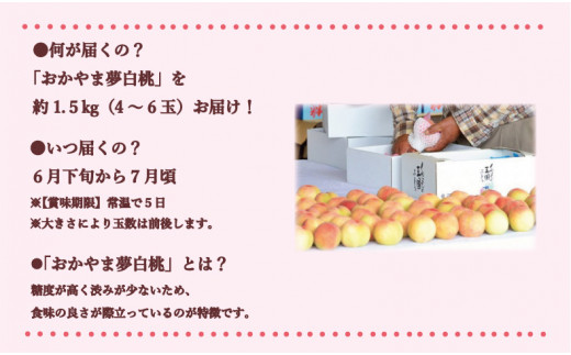 【2024年発送】岡山県備前市産　樹上完熟白桃「おかやま夢白桃」約1.5kg（4～6玉入）