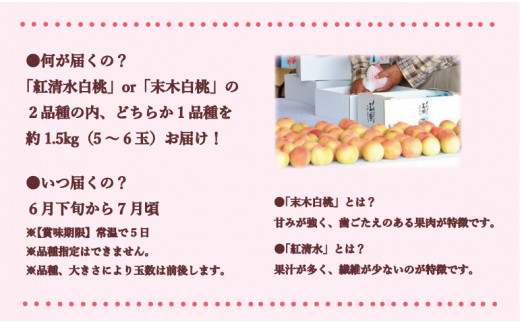 【2024年発送】岡山県備前市産　樹上完熟白桃　「紅清水・末木のうち1品種」約1.5kg（5～6玉入）