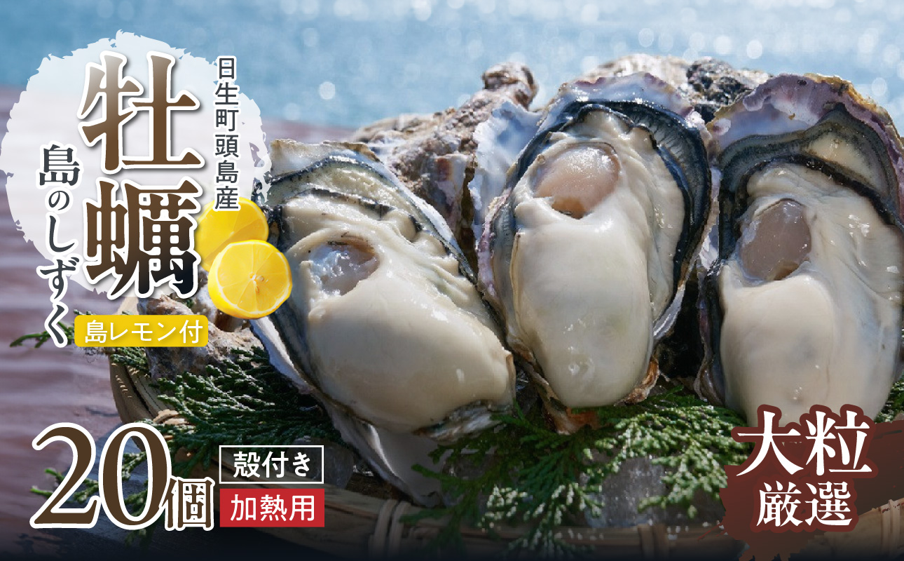 【厳選！】日生頭島大粒殻付き牡蠣「島のしずく」（加熱用・20個）と「島レモン」