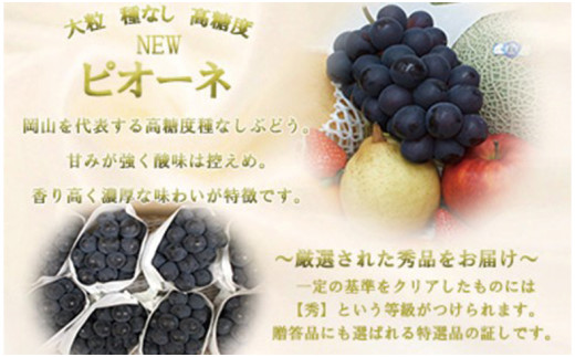 【令和７年発送分】岡山県産 シャインマスカット晴王×ニューピオーネ 2種2kg（令和7年8月から10月発送）【 岡山県産 シャインマスカット ニューピオーネ 高品質ぶどう 晴王 晴れの国おかやま 】