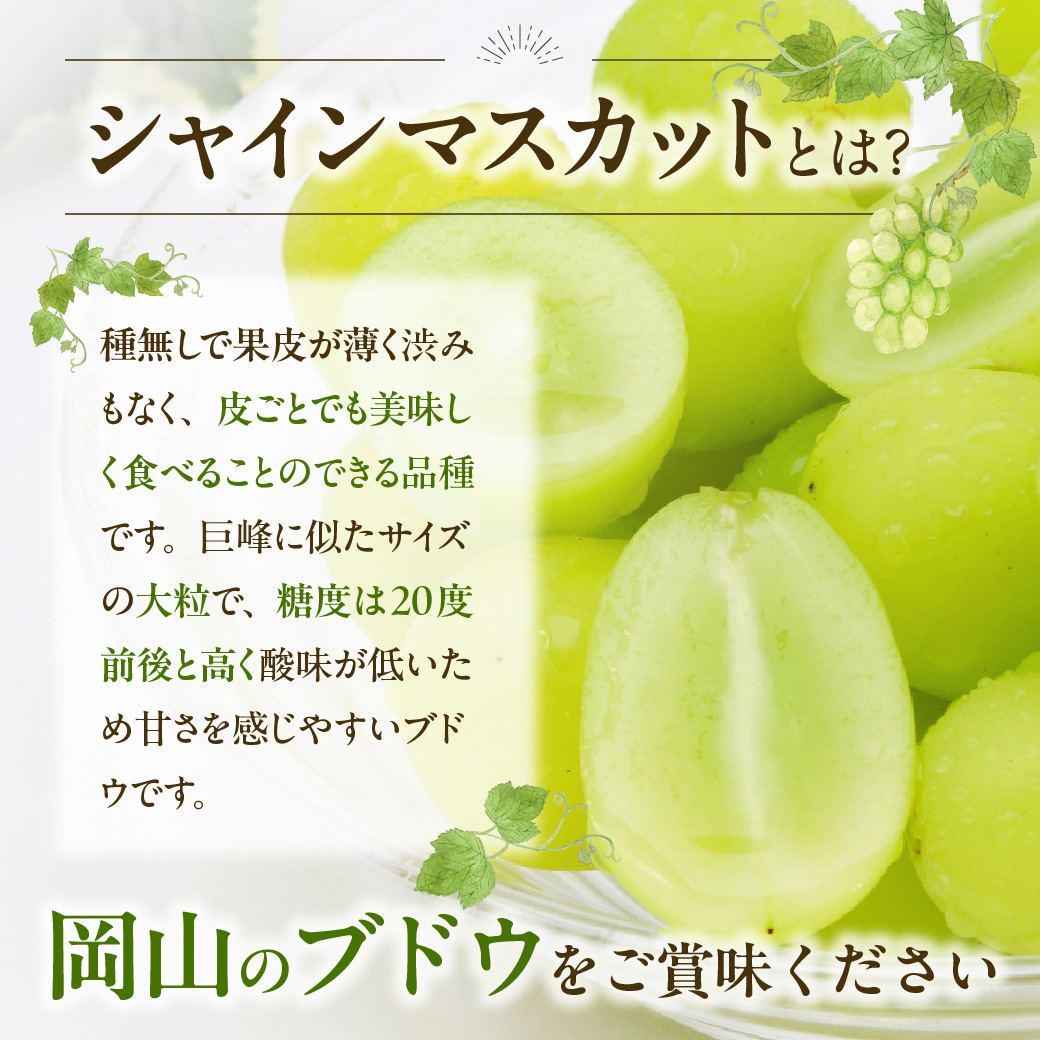【2024年発送】岡山県備前市産　樹上完熟「シャインマスカット」（露地栽培）約2kg