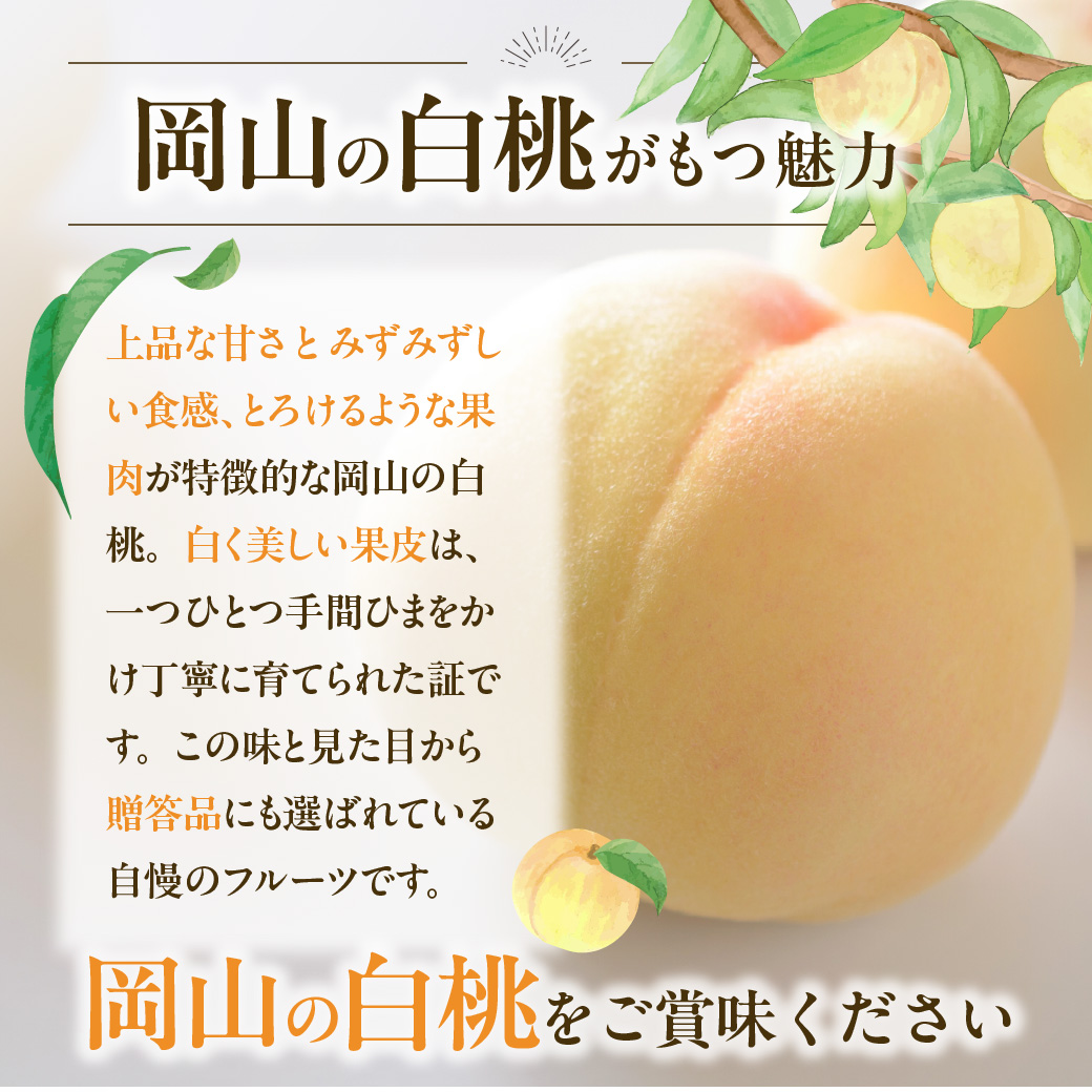 【2024年発送】岡山県備前市産　樹上完熟白桃「おかやま夢白桃」約1.5kg（4～6玉入）