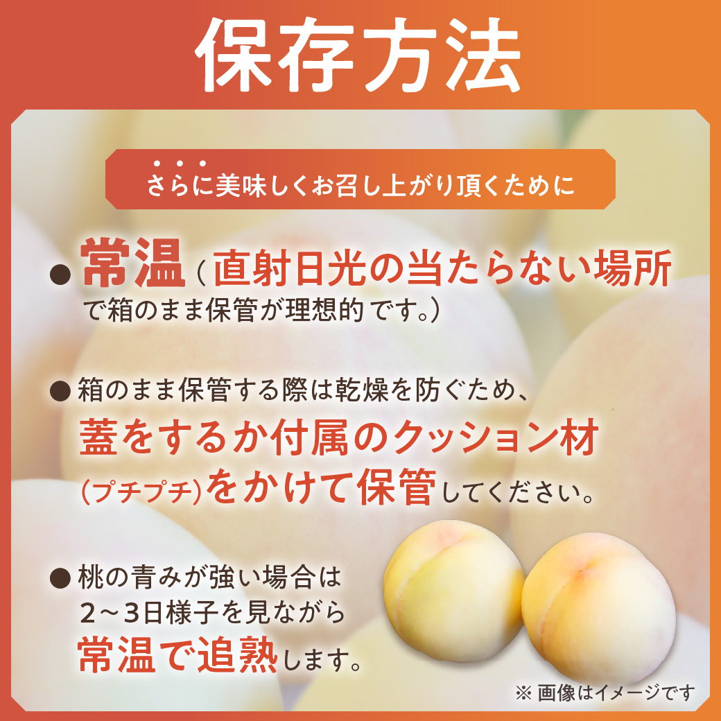 【令和６年発送分】岡山県産　白桃「ロイヤル」2kg