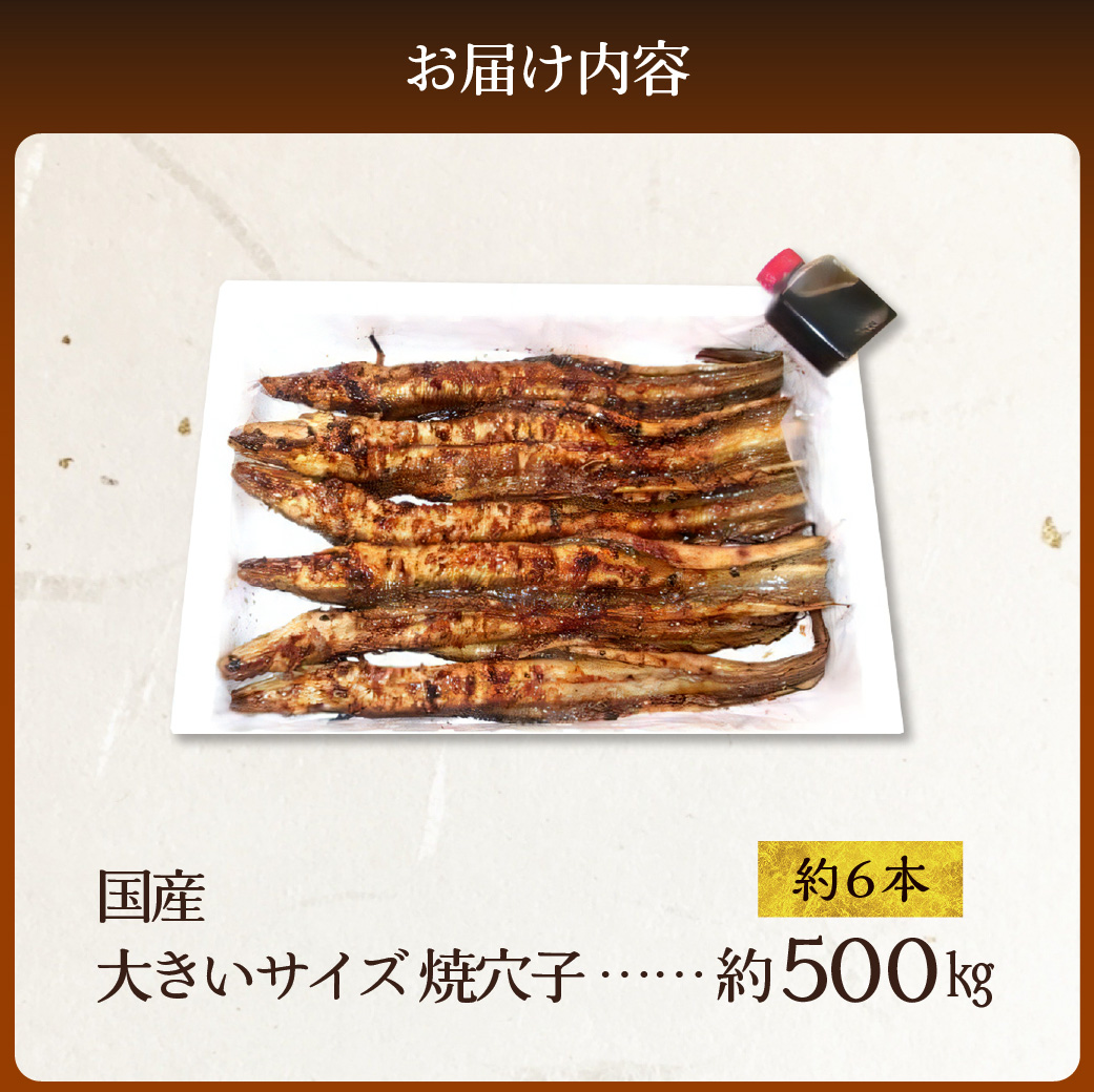 焼穴子　約500g（国産・大きいサイズ約6本）